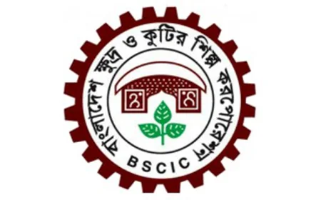 জাপানে ‘ফ্যাশন ওয়ার্ল্ড টোকিও’তে অংশগ্রহণে আবেদনের আহ্বান বিসিকের