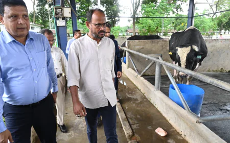 দেশি জাতের গবাদিপশু উন্নয়নে সরকারের উদ্যোগ জোরদারের ঘোষণা প্রতিমন্ত্রী টুকুর