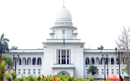 আপিল খারিজ, বহাল তত্ত্বাবধায়ক সরকার ও গণভোট ব্যবস্থা
