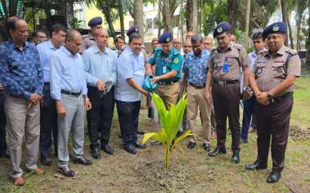 খুলনায় ১ লাখ ২০ হাজার বৃক্ষরোপণ হবে, জানালেন কেডিএ চেয়ারম্যান