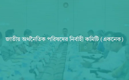 একনেকে অনুমোদনের অপেক্ষায় ২,০৮২ কোটি টাকার পল্লী সড়ক রক্ষণাবেক্ষণ ও কর্মসংস্থান প্রকল্প