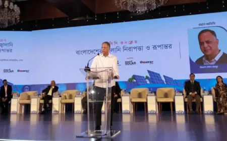 বিদ্যুৎ সেবার মান বাড়াতে বিতরণ ব্যবস্থা বেসরকারিকরণের পরিকল্পনা সরকারের