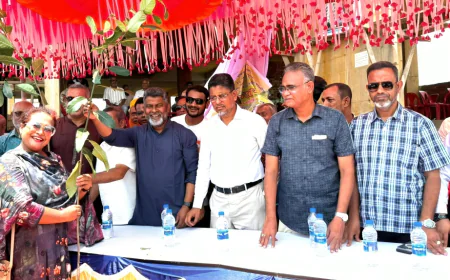 নওগাঁয় ২৫ হাজার গাছের চারা রোপণ করবে কৃষক দল