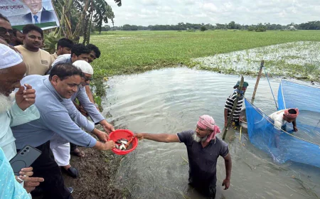 মাদারীপুরে সরকারি উদ্যোগে খাল-বিলে মাছের পোনা অবমুক্ত