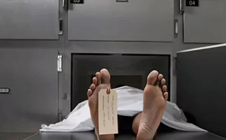 টাঙ্গাইলে মোটরসাইকেলের ধাক্কায় কৃষকের মৃত্যু