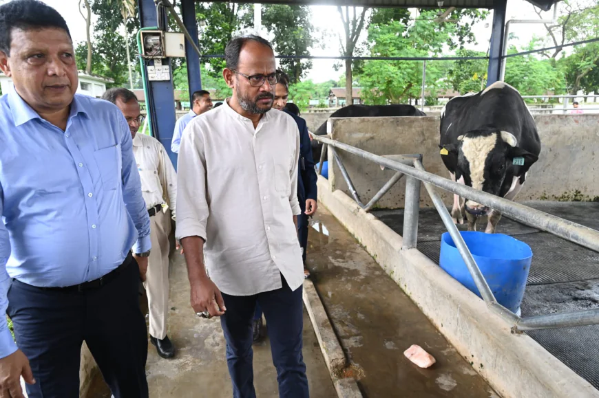 দেশি জাতের গবাদিপশু উন্নয়নে সরকারের উদ্যোগ জোরদারের ঘোষণা প্রতিমন্ত্রী টুকুর