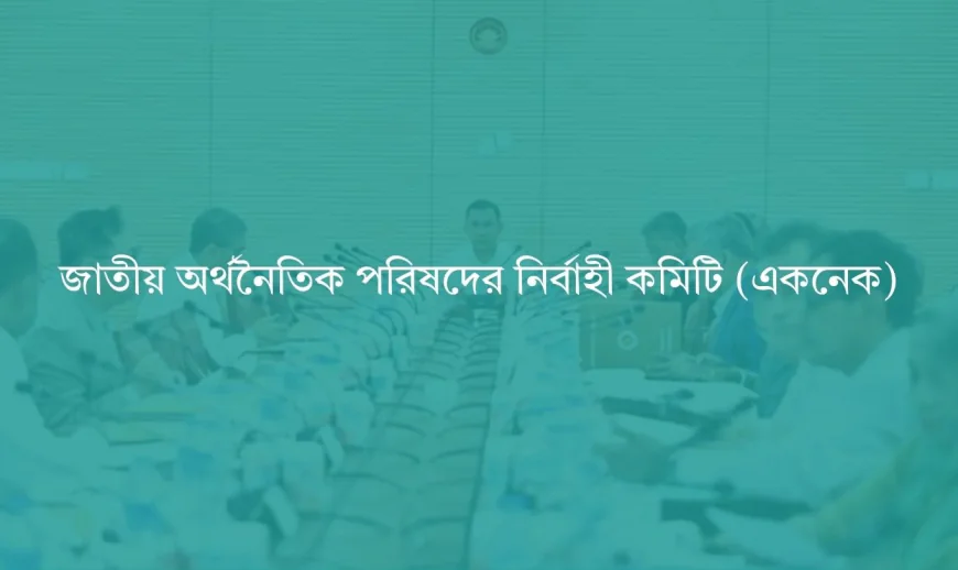 একনেকে অনুমোদনের অপেক্ষায় ২,০৮২ কোটি টাকার পল্লী সড়ক রক্ষণাবেক্ষণ ও কর্মসংস্থান প্রকল্প