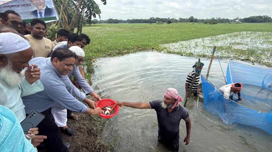 মাদারীপুরে সরকারি উদ্যোগে খাল-বিলে মাছের পোনা অবমুক্ত