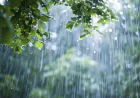 দেশের বিভিন্ন অঞ্চলে বৃষ্টির সম্ভাবনা