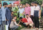 ভোলায় জেলা ছাত্রদলের উদ্যোগে ১,০০০ চারা রোপণ