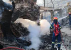 গ্রিসের রাজধানীর কাছে দাবানল নিয়ন্ত্রণে, প্রাণ গেল ২ জনের