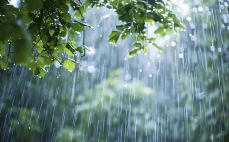 দেশের বিভিন্ন অঞ্চলে বৃষ্টির সম্ভাবনা