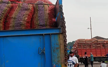 ভারত থেকে কাঁচা মরিচ এলো হিলি স্থলবন্দর দিয়ে