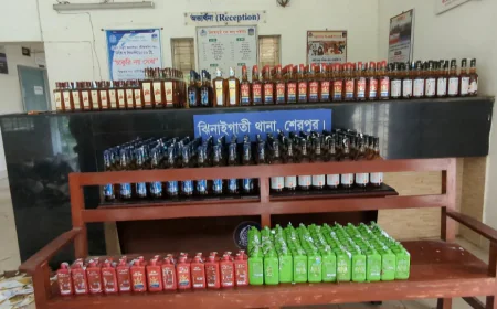 শেরপুর সীমান্তে ৬০০ বোতল ভারতীয় মদ উদ্ধার