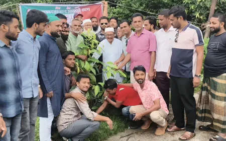 ভোলায় জেলা ছাত্রদলের উদ্যোগে ১,০০০ চারা রোপণ