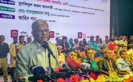 বিরোধীদল হাসিনার ভাষায় কথা বলছে: মির্জা ফখরুল