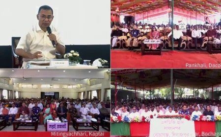 প্রধানমন্ত্রী উদ্বোধন করলেন এসডিজি ভিলেজ পাইলট প্রকল্প