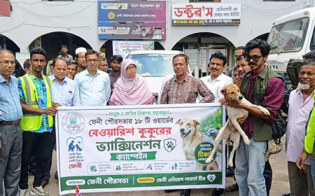 ফেনীতে বেওয়ারিশ কুকুরের টিকাদান কর্মসূচি শুরু