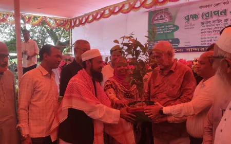 বান্দরবানে বৃক্ষরোপণ ও চারা বিতরণ কর্মসূচি