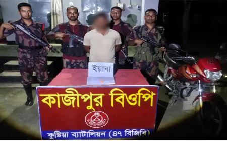 কুষ্টিয়ায় ভারতীয় মাদক ও চোরাচালানি পণ্য জব্দ, আটক ১