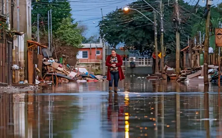 ব্রাজিলে প্রাকৃতিক এলাকা কমায় বাড়ছে এল নিনোর প্রভাবের ঝুঁকি
