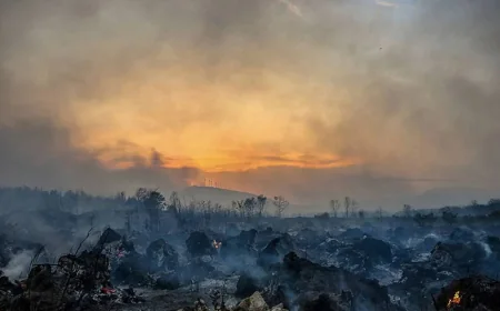 ক্রোয়েশিয়ায় দাবানলে পুড়ে ছাই ঘরবাড়ি ও গাড়ি