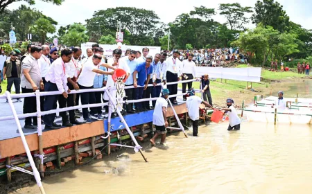 ব্রহ্মপুত্র নদে মাছের পোনা অবমুক্ত করলেন প্রধানমন্ত্রী