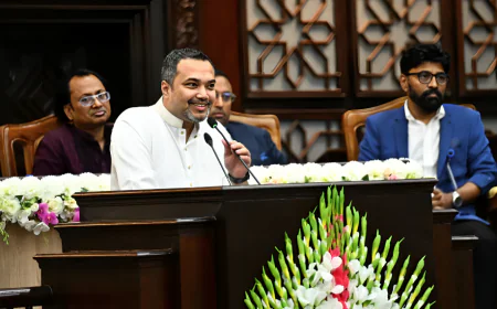 গণতান্ত্রিক মূল্যবোধ ও সুশাসন প্রতিষ্ঠায় সরকারের পথচলা অব্যাহত : মাহদী আমিন