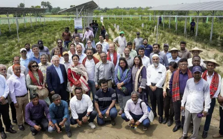 চুয়াডাঙ্গায় দেশের প্রথম বৈজ্ঞানিক এগ্রিভোলটাইক পাইলট প্রকল্পের উদ্বোধন