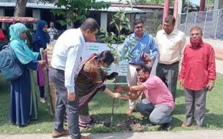 পরিবেশ রক্ষায় সাতক্ষীরায় বৃক্ষরোপণ অভিযান
