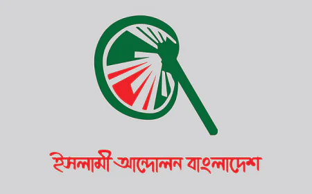সরকারের ব্যর্থতায় প্রতিদিন গড়ে ১০ জন খুন: ইসলামী আন্দোলন