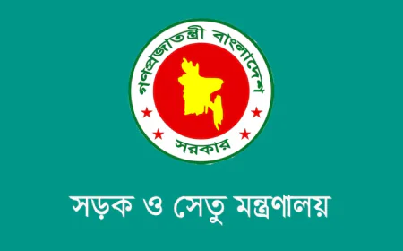 জরিমানা ছাড়াই গাড়ির কাগজপত্র নবায়নের শেষ সময় ২৯ অক্টোবর