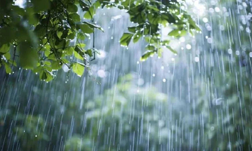 দেশের বিভিন্ন অঞ্চলে বৃষ্টির সম্ভাবনা