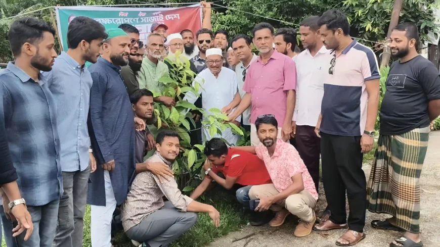 ভোলায় জেলা ছাত্রদলের উদ্যোগে ১,০০০ চারা রোপণ