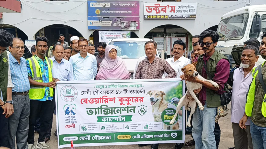 ফেনীতে বেওয়ারিশ কুকুরের টিকাদান কর্মসূচি শুরু