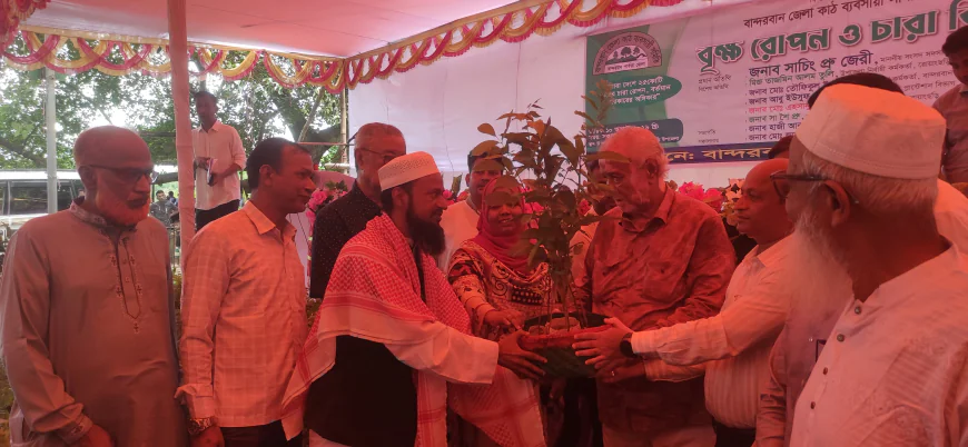 বান্দরবানে বৃক্ষরোপণ ও চারা বিতরণ কর্মসূচি