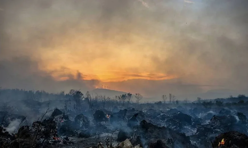 ক্রোয়েশিয়ায় দাবানলে পুড়ে ছাই ঘরবাড়ি ও গাড়ি