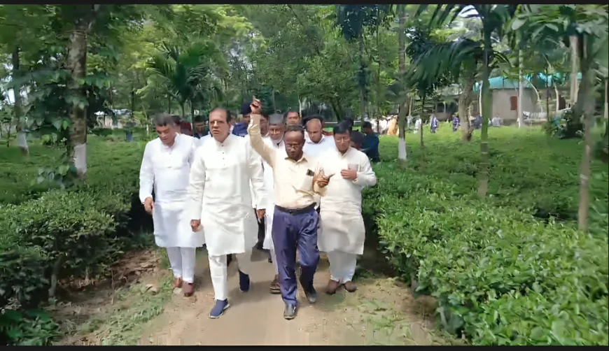 লালমনিরহাটে চা-চাষ সম্ভাবনার নতুন দিগন্ত উন্মোচন করেছে: ত্রাণমন্ত্রী