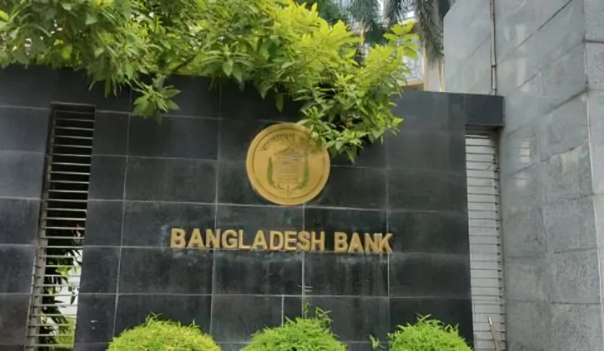 এসএস পাওয়ারকে ৩২ লাখ ডলারের ঋণ ছাড় ও এলসি খোলার অনুমতি