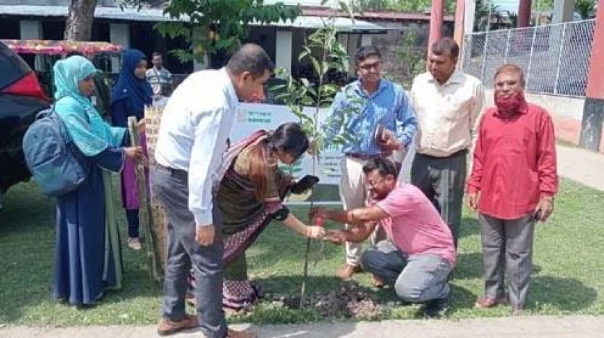 পরিবেশ রক্ষায় সাতক্ষীরায় বৃক্ষরোপণ অভিযান