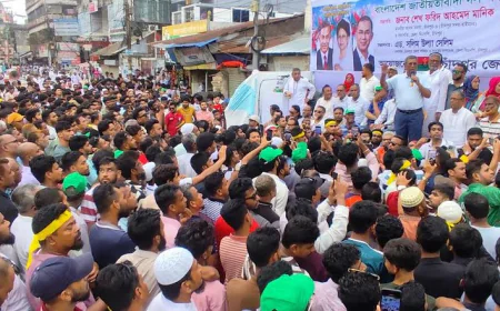 চাঁদপুরে বিএনপির ৪৮তম প্রতিষ্ঠাবার্ষিকী পালিত