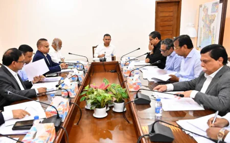 ডেঙ্গু প্রতিরোধে দেশজুড়ে পরিচ্ছন্নতা কার্যক্রম জোরদারের নির্দেশ প্রধানমন্ত্রীর