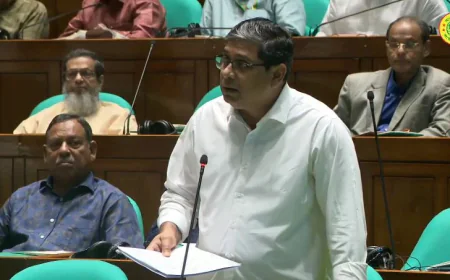 দেশব্যাপী ডেঙ্গু প্রতিরোধ ও পরিচ্ছন্নতা অভিযান শুরু ১২ সেপ্টেম্বর: মীর শাহে আলম