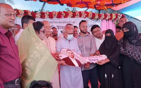 হারুনের স্বপ্ন ছিল গণতন্ত্র পুনরুদ্ধার, কিন্তু তাকে বাঁচতে দেওয়া হয়নি: রিজভী
