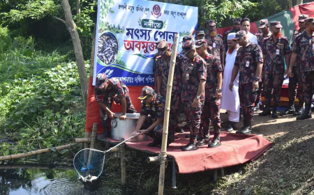 যশোরে নদীতে মাছের পোনা অবমুক্ত করেছে বিজিবি