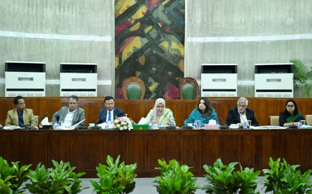 স্থায়ী কমিটি: শেখ হাসিনাকে ফেরাতে কূটনৈতিক উদ্যোগ অব্যাহত