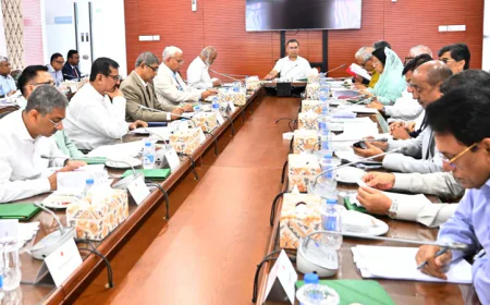মন্ত্রিসভায় পাবলিক প্রকিউরমেন্ট অধ্যাদেশের সংশোধনী অনুমোদিত