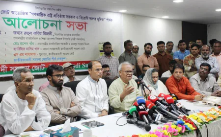 রিজভী: গণতান্ত্রিক পরিবেশে সরকারের সমালোচনার অধিকার সবার রয়েছে