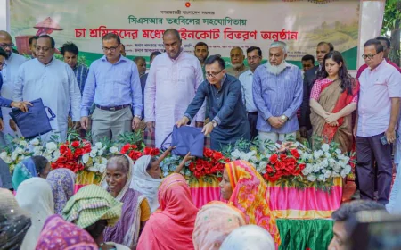 জ্বালানি তেলের দাম বাড়লেও নিত্যপণ্যের বাজারে বড় প্রভাব পড়বে না: বাণিজ্যমন্ত্রী