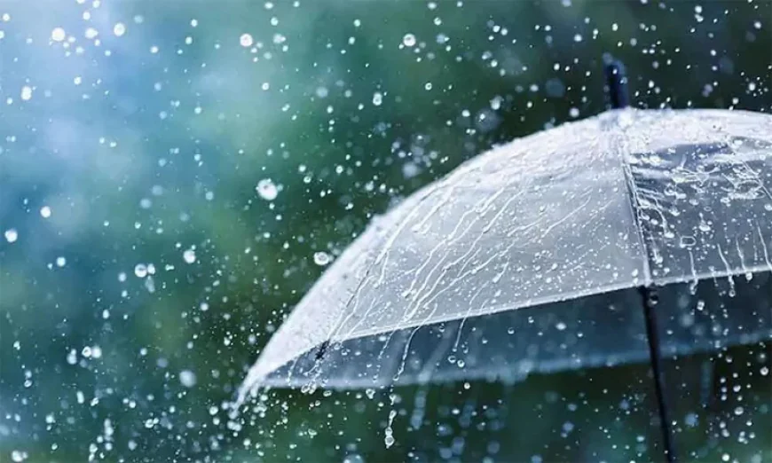 দেশের বিভিন্ন স্থানে বৃষ্টির পূর্বাভাস
